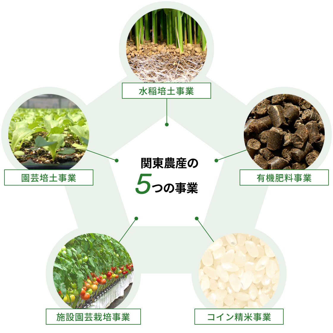 関東農産の5つの事業