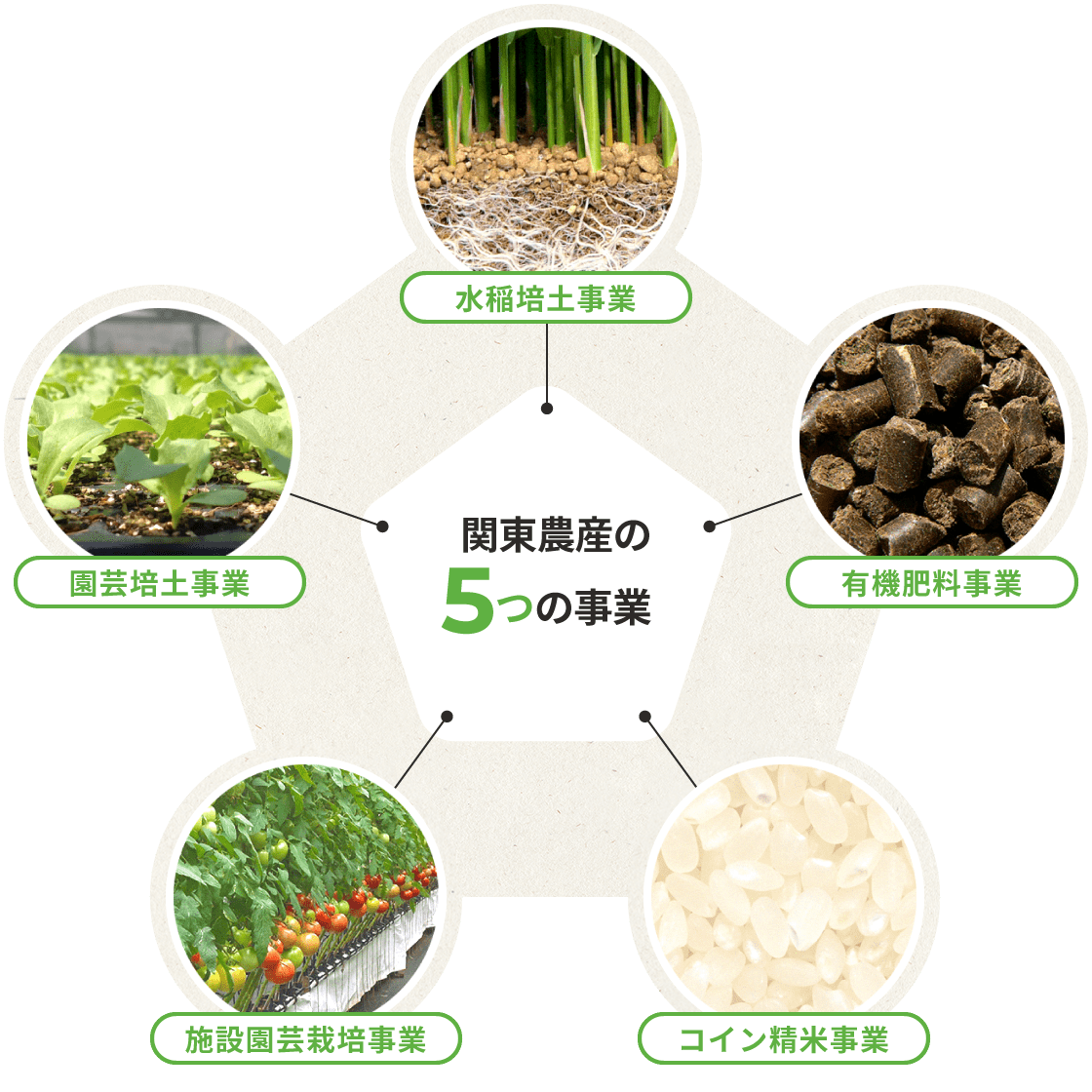 関東農産の5つの事業