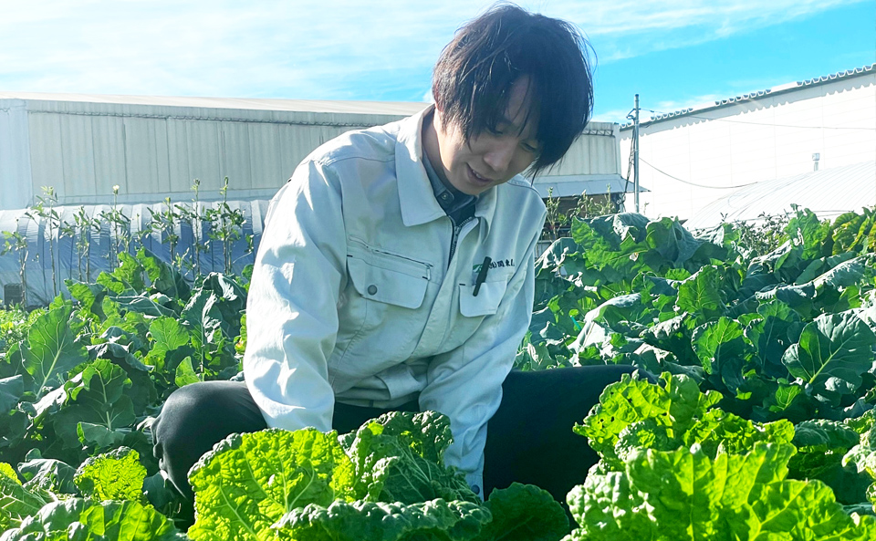 社員全員が農業とふれあう機会を大切にしています