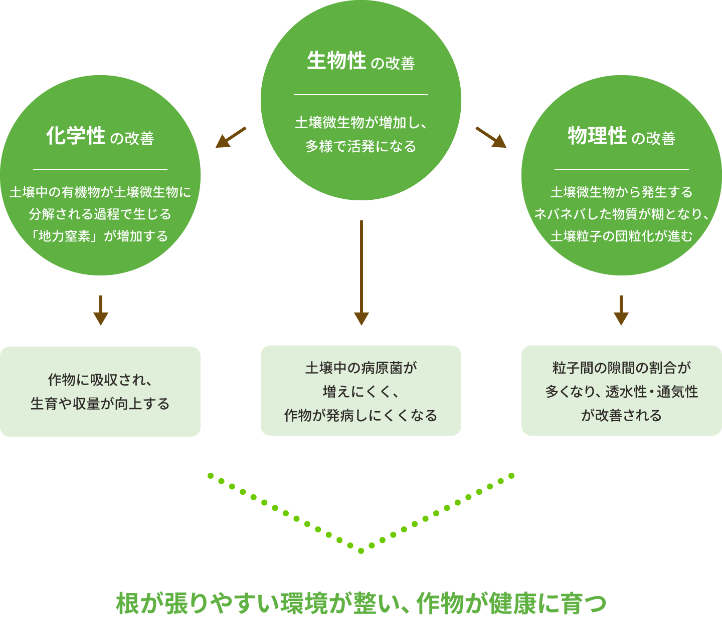 土づくりに重要な3つの要素