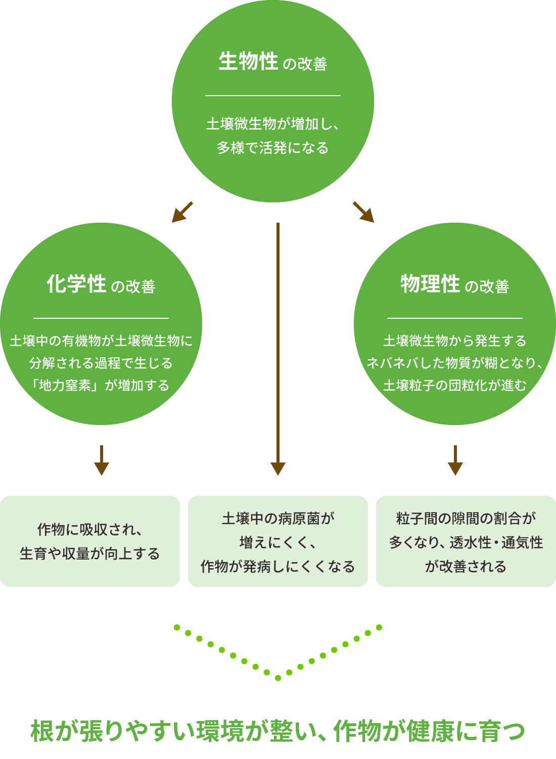 土づくりに重要な3つの要素